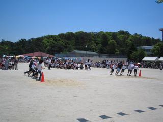 2006-05-21 11:29:13