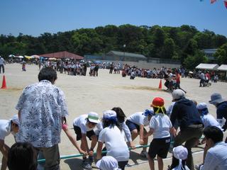 2006-05-21 11:31:54