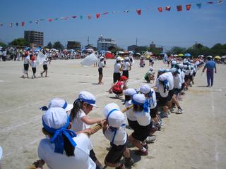 2006-05-21 11:45:46