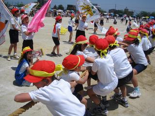 2006-05-21 11:50:19