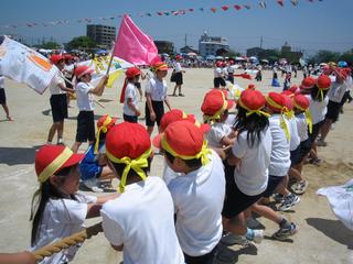 2006-05-21 11:50:35