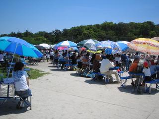 2006-05-21 12:00:36