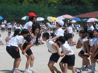2006-05-21 13:20:37