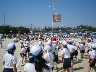 2006-05-21 13:49:55