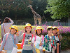 03kirin03_thumb.jpg