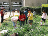 01nakaniwa01_thumb.jpg