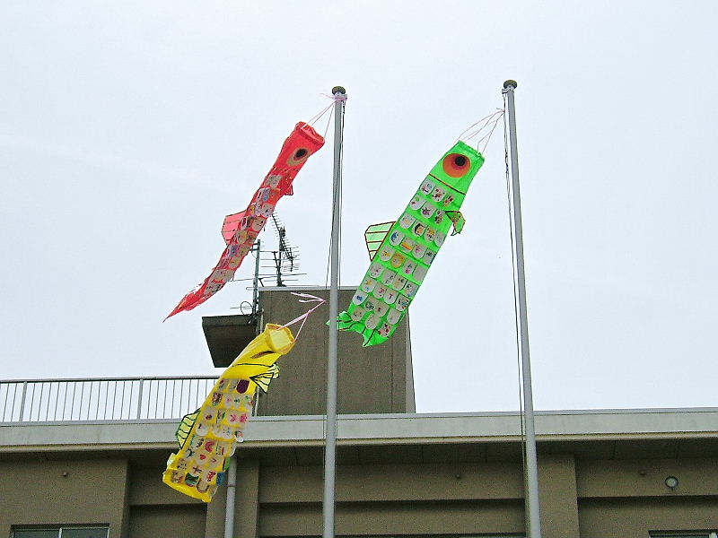 02koi07.jpg
