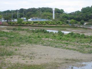 2007-05-02 13:11:05