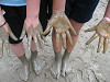 img_0670_thumb.jpg