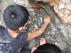 img_1250_thumb.jpg