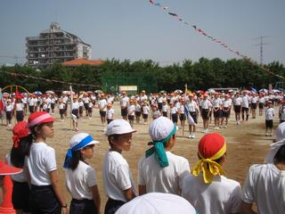 2007-05-26 09:33:36