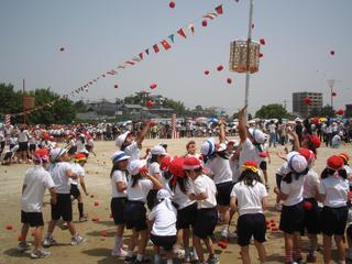 2007-05-26 10:50:29