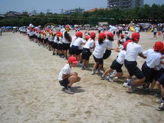 2007-05-26 11:53:54