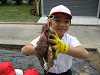 img_1276_thumb.jpg