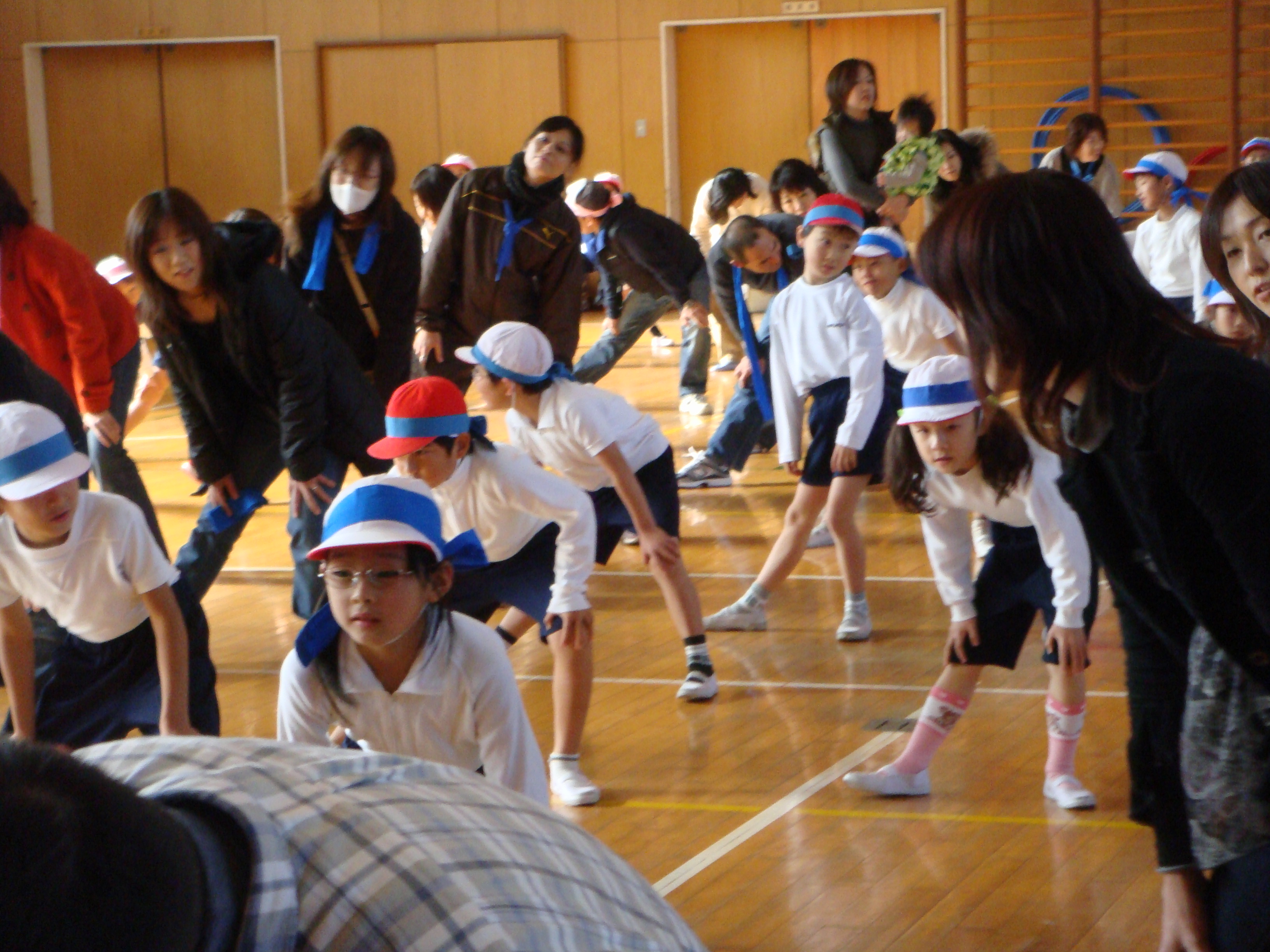dsc00528.jpg
