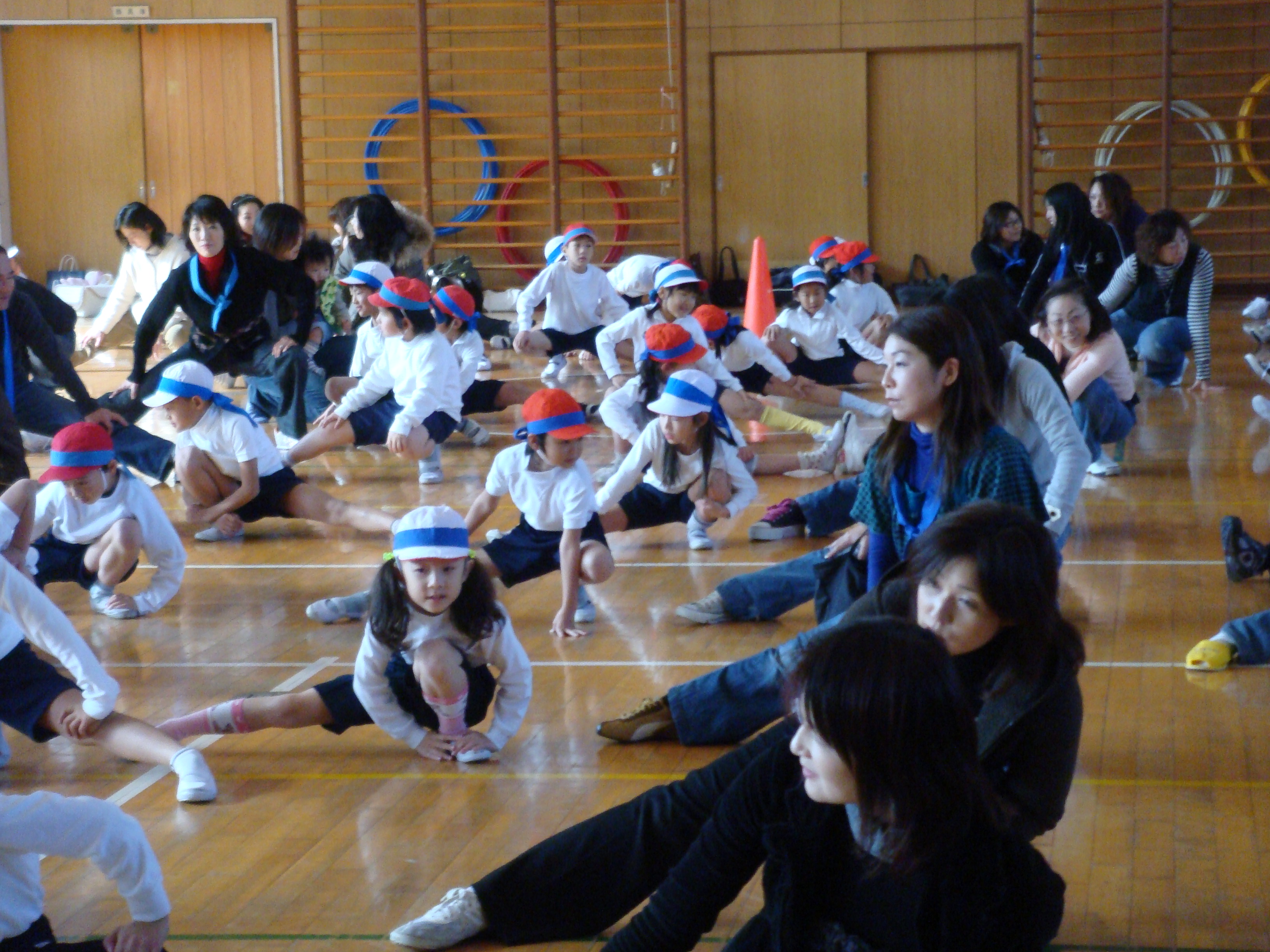 dsc00530.jpg