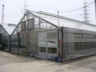 2008-05-01 10:46:13