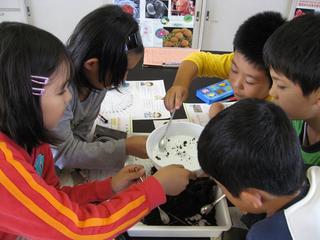 2008-10-28 12:04:49