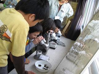 2008-10-28 12:05:28