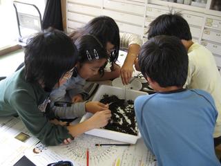 2008-10-28 12:05:42