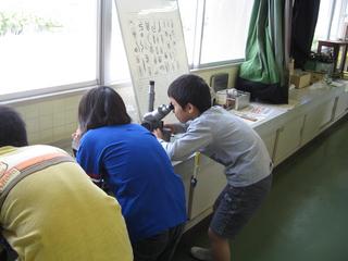2008-10-28 12:07:21