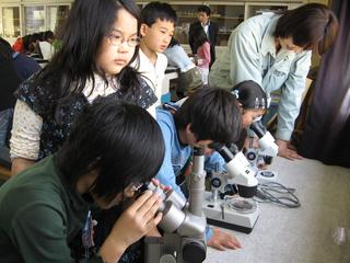2008-10-28 12:08:09