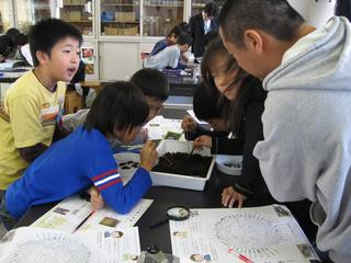 2008-10-28 12:08:21