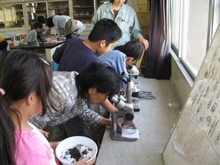 2008-10-28 12:12:43