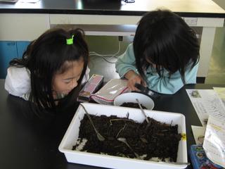 2008-10-28 12:13:54