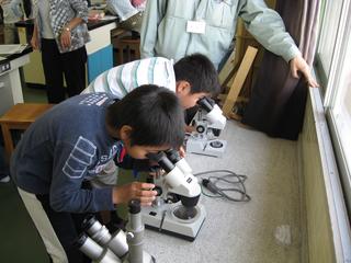 2008-10-28 12:14:14