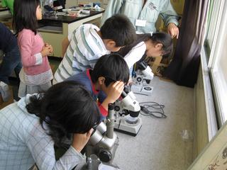 2008-10-28 12:15:15
