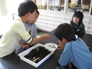 2008-10-28 12:15:46