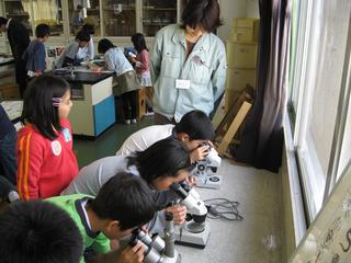 2008-10-28 12:16:49