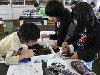 2008-10-28 17:24:47
