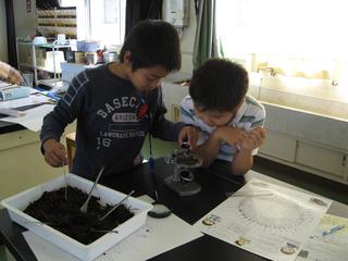 2008-10-28 12:18:49