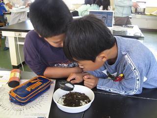 2008-10-28 12:20:53