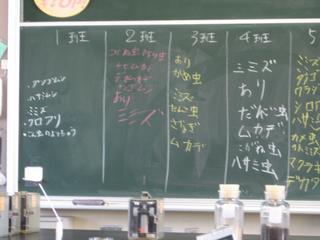 2008-10-28 12:31:50