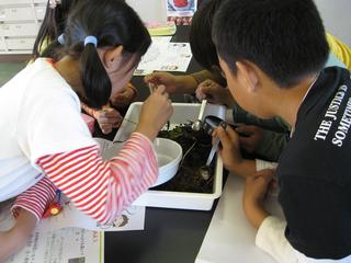2008-10-28 14:46:43