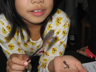 2008-10-28 15:02:34