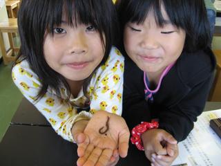 2008-10-28 15:02:52