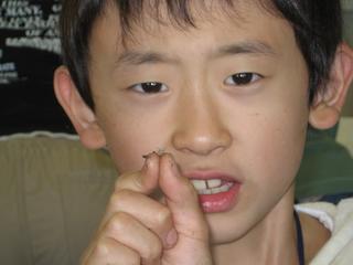 2008-10-28 15:03:00