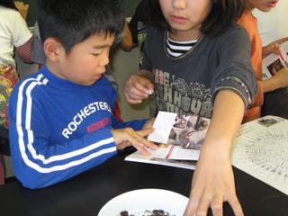 2008-10-28 15:11:38