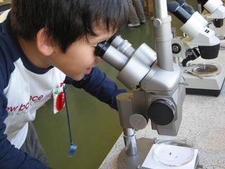 2008-10-28 17:28:05
