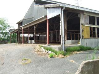 2008-05-01 09:31:09