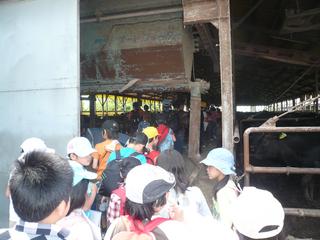 2008-05-01 10:14:39