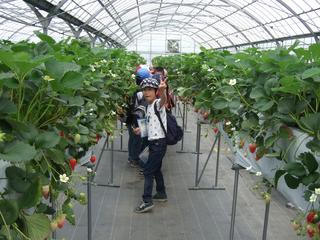 2008-05-01 11:19:20