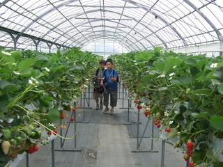 2008-05-01 11:19:39