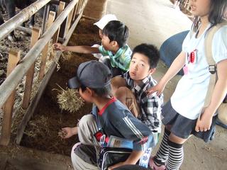 2008-05-01 15:28:22