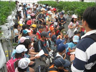2008-05-01 15:38:45
