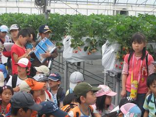 2008-05-01 15:39:55